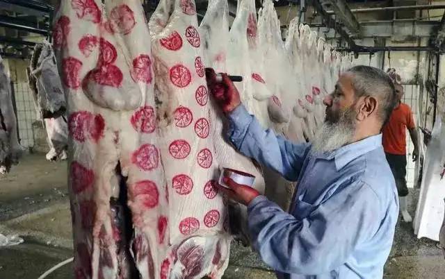 一个月后俄罗斯猪肉将大量进入中国市场，7元价格还能持续多久