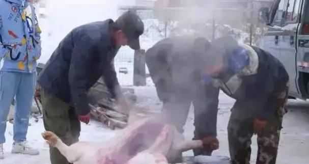 一个月后俄罗斯猪肉将大量进入中国市场，7元价格还能持续多久